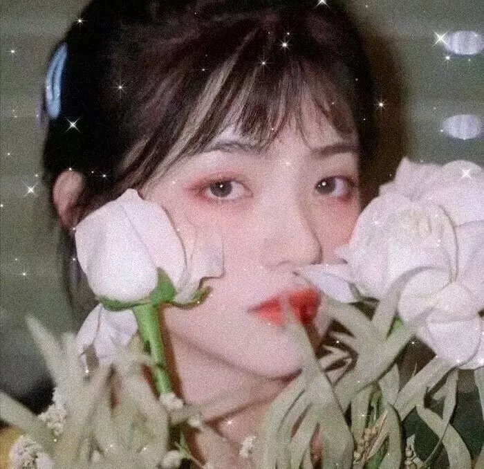 爱恋甜甜圈
